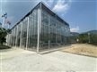 玻璃温室生产