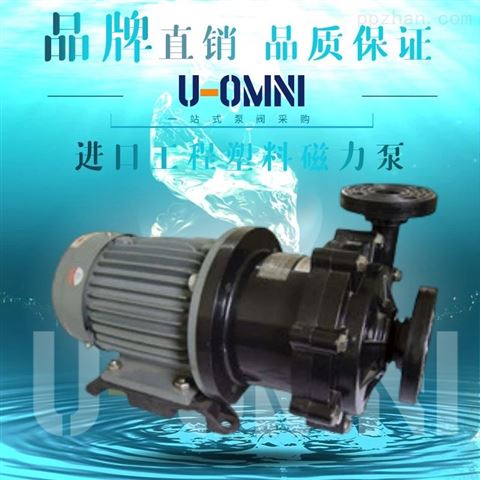 进口无泄漏磁力高温泵-美国欧姆尼U-OMNI