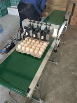 鸡蛋喷码机H506
